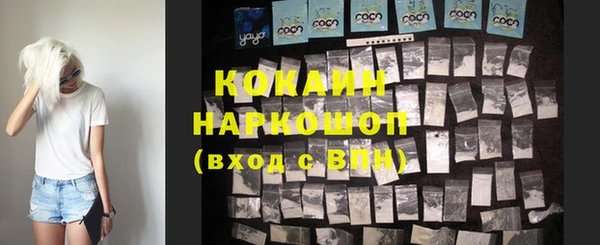 сатива Дмитровск
