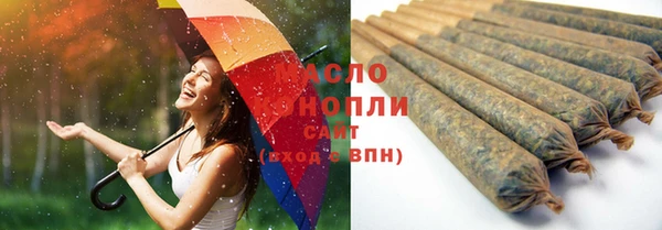 меф Дмитриев