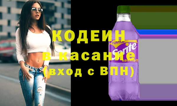 сатива Дмитровск