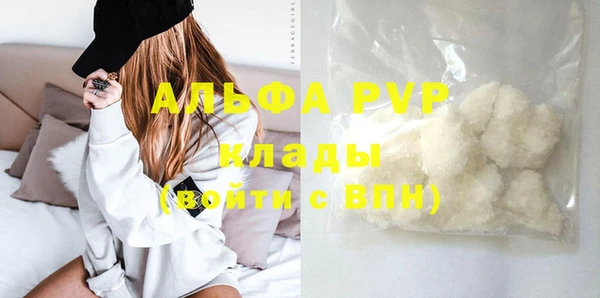 сатива Дмитровск