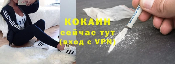 меф Дмитриев