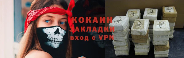 сатива Дмитровск