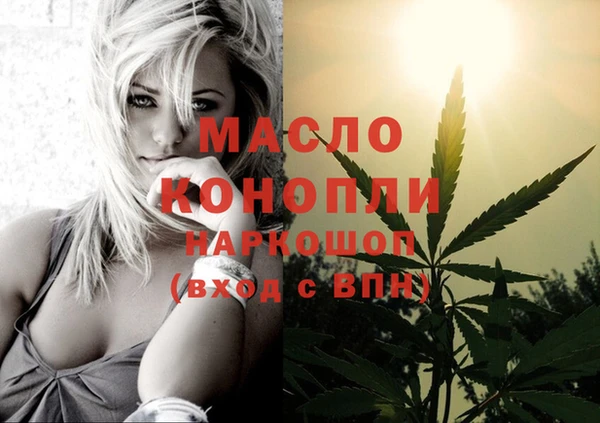 меф Дмитриев