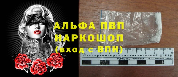 сатива Дмитровск