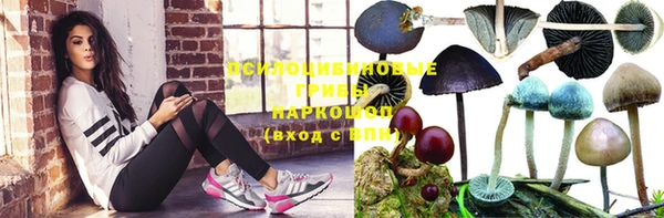 меф Дмитриев